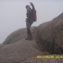 봉남이네 이미지