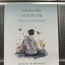 빛이나개 이미지