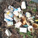 성수면 야구장 이미지