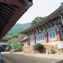 백련사 이미지