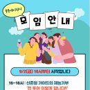 투투에이전시