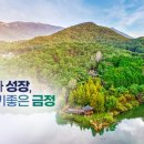 금정구청 보건소 이미지