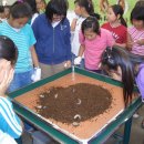 가평곤충농장 이미지