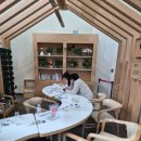 편백나무아래 이미지