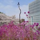 미산