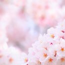 물태리 다목적회관 이미지