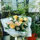 구산면610 이미지