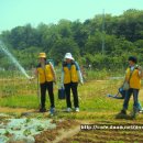 진산농장 이미지