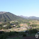 당산나무민박 이미지