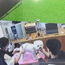 애견 미용실(도그하우스) 이미지