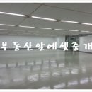 알에셋부동산중개 이미지