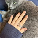 11650-16-92-13 | 일상 셀프네일 메이유어 골든 MZ18 모어젤 어텀팔레트 AP92 봄웜라이트 립 추천