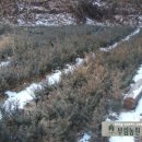 두학목장 이미지