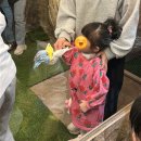 장수군(환경위생과) | 인천실내동물원 쥬벅스 동물체험 곤충체험 인천 아이들과 가볼만한 곳으로 추천 후기