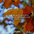 역대상 29:1~9 자발적 헌신으로 이루어지는 기쁨의 공동체 이미지