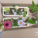 야생화정원펜션민박 이미지