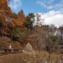 양지로5C 이미지