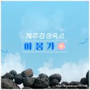 아몽가