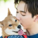 노아 이미지