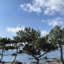 안덕유통 | [제주 안덕] 오션뷰 제주 게스트하우스 | 서귀포 깔끔한 가성비 숙소