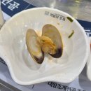 [인천/서구 맛집] 검단 아라역 조개전골 맛집 '갯벌의조개' 후기 #인천검단맛집