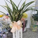 가톨릭대학교 생명대학원 | 하느님의 의지를 담은 예술, 이정한 베르나르도 신부님 졸업작품 전시회 후기