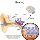 밀양이비인후과의원 | 대구긴장성두통, 골전도 헤드폰 착용 후 두통 [서부통신경외과] 달서구정형외과, 송현동, 대명동, 성당동