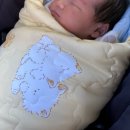 플로라산후조리원 | 세종 메종플로라 산후조리원 내돈내산 후기 (2주, 프로그램, 식단 음식, 가격, 모유수유, 마사지)