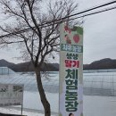 윤농장 | [윤디데이] 27개월 아기 딸기체험 후기 / 치유농장 생생딸기 체험농장