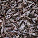 구룡포시장 이미지