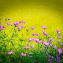 서울공업고등학교 이미지