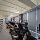 언니네 헬스장 이미지