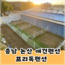 애견마트(송정점) | 충남 논산 대전 근교 개별운동장이 있는 애견펜션 프리독펜션