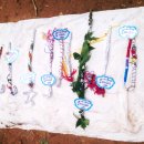 동영유치원 이미지