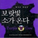 보랏빛 소