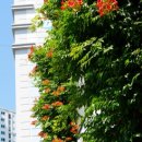 수월초등학교 이미지