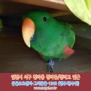 인천청라고등학교 이미지