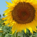 주변 이야기 이미지