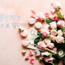 꽃 이미지