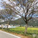 용봉산글램핑 | [충청남도 홍성군] 용봉산캠핑장