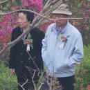 태백초등학교 이미지