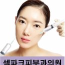 셀파크피부과의원 네이버블로그