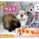 장우진동물병원 이미지