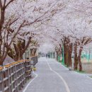 강상체육공원 테니스장