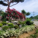 백야김좌진장군생가지 공중화장실 | 관광객유치