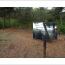 청송심씨 묘역 이미지