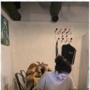실전처럼 배우는 생활영어 네이버블로그