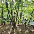 2025년8월3일 첫째주 일요일 강릉 연곡 소금강계곡 트레킹 갑니다 이미지