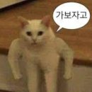 통합미술 다루기 이미지