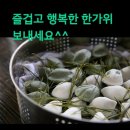제이와이엠플라워스쿨